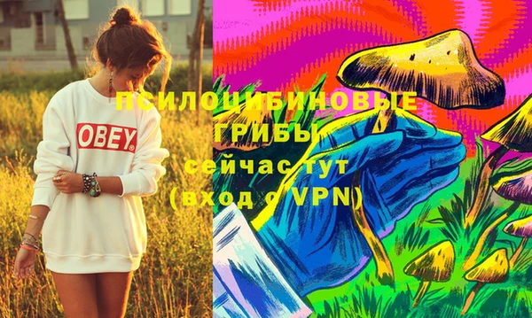 дурь Алексеевка