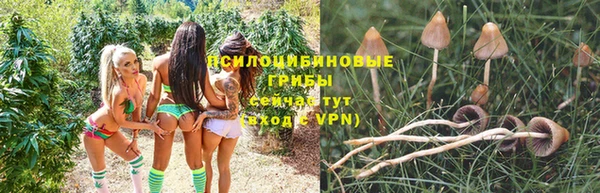 Альфа ПВП Гусиноозёрск