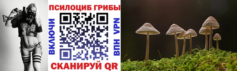Галлюциногенные грибы MAGIC MUSHROOMS  Байкальск 
